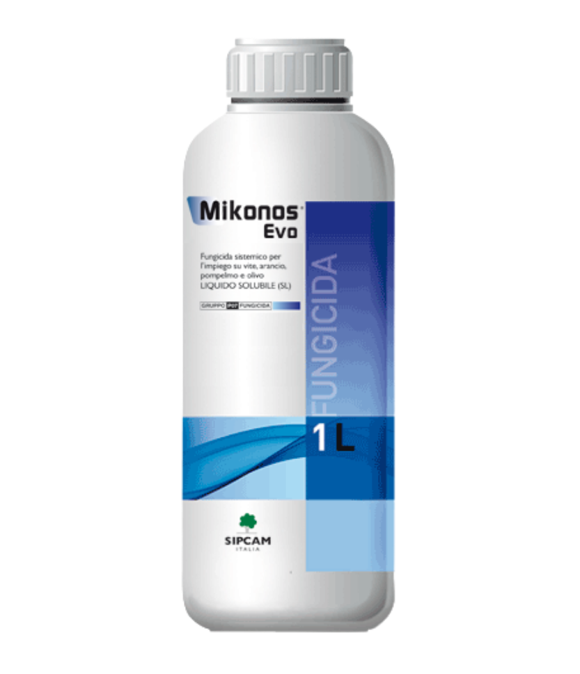 Cicloconio dell'olivo: Mikonos Evo, la soluzione preventiva!